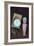 Toy Doll and Watch-Den Reader-Framed Photographic Print