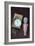 Toy Doll and Watch-Den Reader-Framed Photographic Print