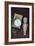 Toy Doll and Watch-Den Reader-Framed Photographic Print