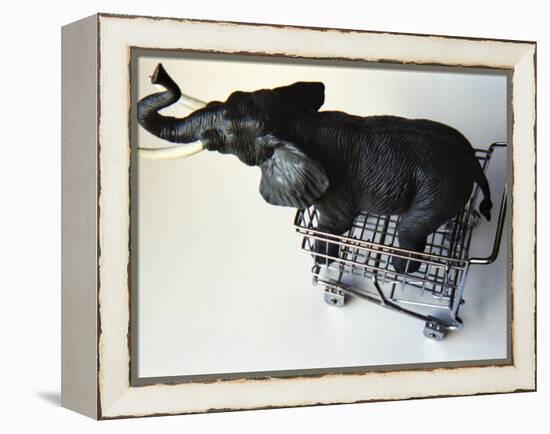 Toy Elephant in Toy Supermarket Cart-Winfred Evers-Framed Premier Image Canvas