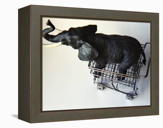 Toy Elephant in Toy Supermarket Cart-Winfred Evers-Framed Premier Image Canvas