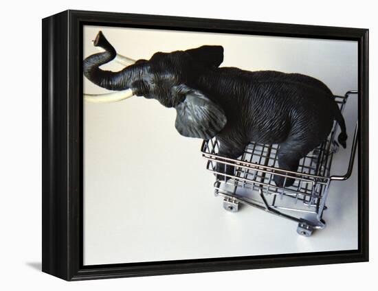 Toy Elephant in Toy Supermarket Cart-Winfred Evers-Framed Premier Image Canvas