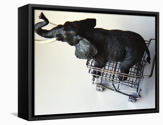 Toy Elephant in Toy Supermarket Cart-Winfred Evers-Framed Premier Image Canvas