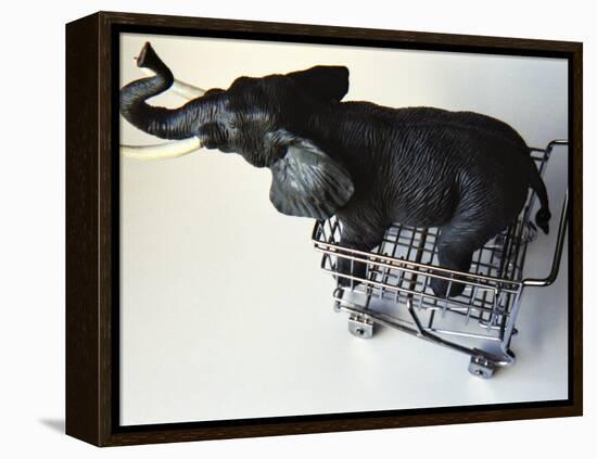 Toy Elephant in Toy Supermarket Cart-Winfred Evers-Framed Premier Image Canvas