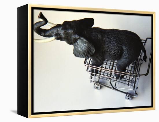 Toy Elephant in Toy Supermarket Cart-Winfred Evers-Framed Premier Image Canvas