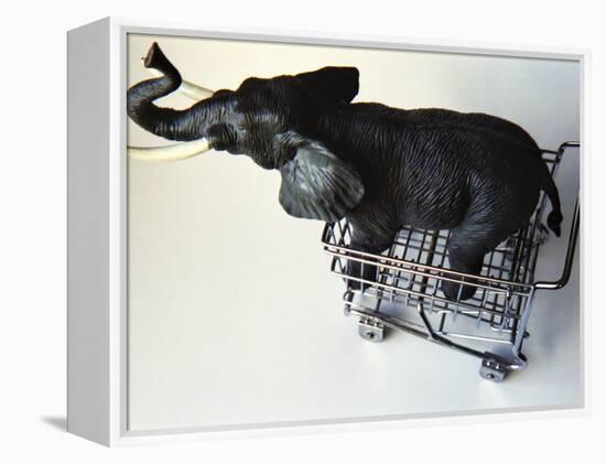 Toy Elephant in Toy Supermarket Cart-Winfred Evers-Framed Premier Image Canvas