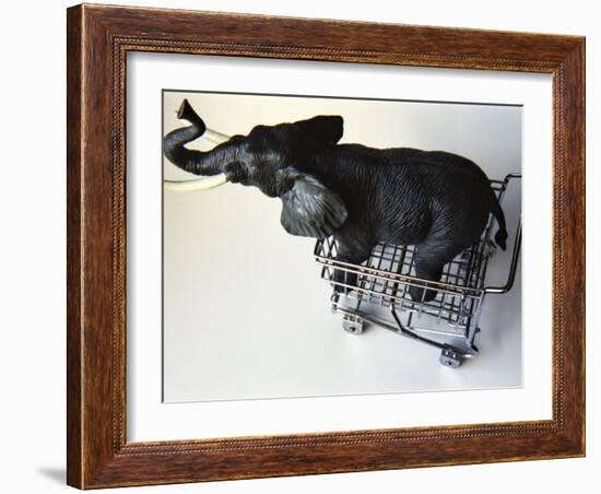 Toy Elephant in Toy Supermarket Cart-Winfred Evers-Framed Photographic Print