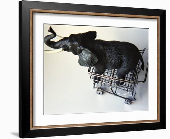 Toy Elephant in Toy Supermarket Cart-Winfred Evers-Framed Photographic Print