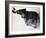 Toy Elephant in Toy Supermarket Cart-Winfred Evers-Framed Photographic Print