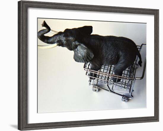 Toy Elephant in Toy Supermarket Cart-Winfred Evers-Framed Photographic Print