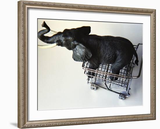 Toy Elephant in Toy Supermarket Cart-Winfred Evers-Framed Photographic Print