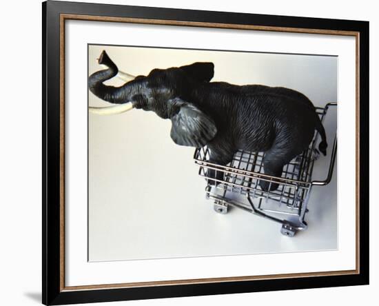 Toy Elephant in Toy Supermarket Cart-Winfred Evers-Framed Photographic Print