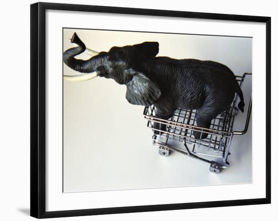 Toy Elephant in Toy Supermarket Cart-Winfred Evers-Framed Photographic Print