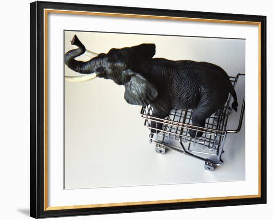 Toy Elephant in Toy Supermarket Cart-Winfred Evers-Framed Photographic Print