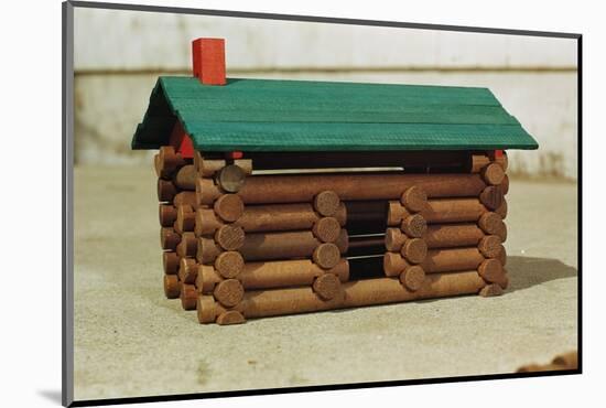 Toy Log Cabin-William P. Gottlieb-Mounted Photographic Print