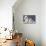 Toy Poodle Dogs-null-Mounted Photographic Print displayed on a wall