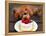 Toy Poodle Eats a Special Christmas Cake Made from Rice Powder and Natural Honey in Tokyo-null-Framed Premier Image Canvas