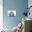 Toy Poodle-null-Mounted Photographic Print displayed on a wall