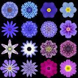 Purple Concentric Flower Center: Mandala Kaleidoscopic Design-tr3gi-Art Print