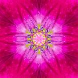Kaleidoscopic Chrystanthemum Flower Mandala-tr3gi-Art Print