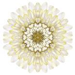 White Chrysathemum Mandala Flower Kaleidoscopic-tr3gi-Art Print
