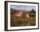 Tra Le Vigne a Montalcino-Guido Borelli-Framed Giclee Print