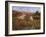 Tra Le Vigne a Montalcino-Guido Borelli-Framed Giclee Print