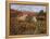 Tra Le Vigne a Montalcino-Guido Borelli-Framed Premier Image Canvas