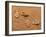 Trace Feet Steps Made Of A Pebble Stone On The Sea Sand Backdrop-Madlen-Framed Photographic Print