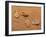 Trace Feet Steps Made Of A Pebble Stone On The Sea Sand Backdrop-Madlen-Framed Photographic Print