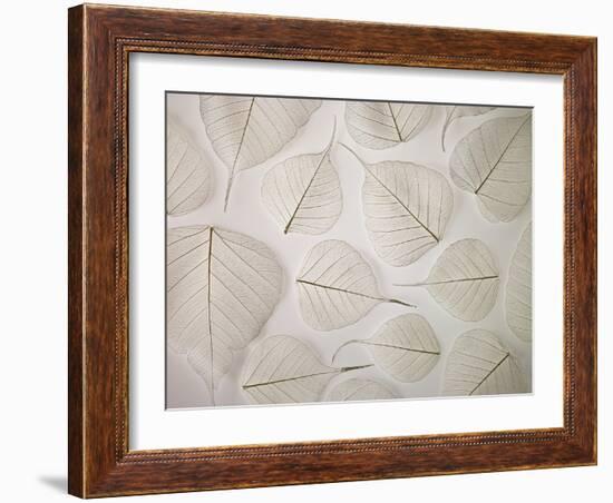 Tracery-Assaf Frank-Framed Giclee Print