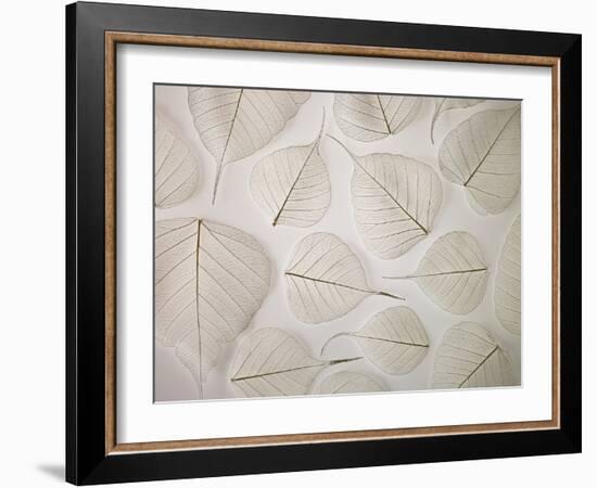 Tracery-Assaf Frank-Framed Giclee Print