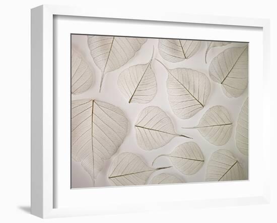 Tracery-Assaf Frank-Framed Giclee Print