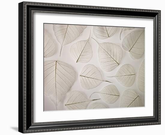 Tracery-Assaf Frank-Framed Giclee Print