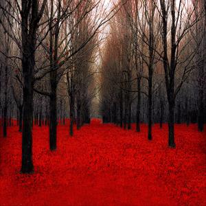 Fiery Autumn by Tracey Telik