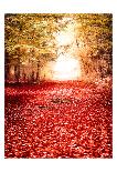 Red Door-Tracey Telik-Photographic Print