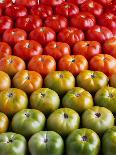 Red and Green Tomatoes-Tracey Thompson-Premier Image Canvas