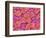 Trachea of a Rat-Micro Discovery-Framed Photographic Print