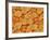 Trachea of a Rat-Micro Discovery-Framed Photographic Print