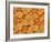 Trachea of a Rat-Micro Discovery-Framed Photographic Print