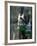 Track Athlete Kip Keino in Action at the Summer Olympics-John Dominis-Framed Premium Photographic Print