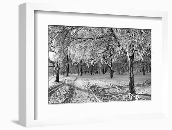 Track in Town Park. Hdr-basel101658-Framed Photographic Print