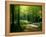 Track Leading Through Lanhydrock Beech Woodland with Bluebells in Spring, Cornwall, UK-Ross Hoddinott-Framed Premier Image Canvas