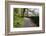 Track Through Woodland Near Grange, Borrowdale, Lake District National Park, Cumbria, England, UK-Mark Sunderland-Framed Photographic Print
