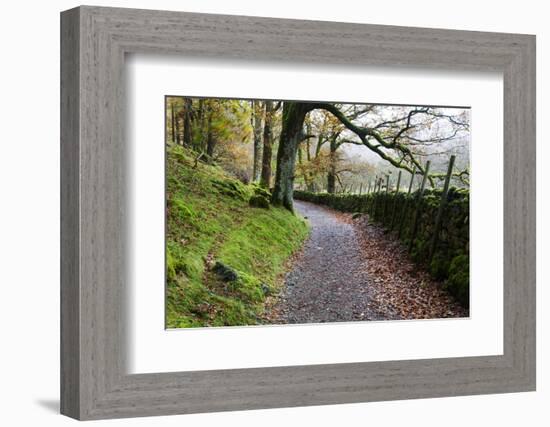 Track Through Woodland Near Grange, Borrowdale, Lake District National Park, Cumbria, England, UK-Mark Sunderland-Framed Photographic Print