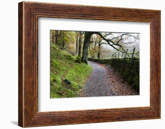 Track Through Woodland Near Grange, Borrowdale, Lake District National Park, Cumbria, England, UK-Mark Sunderland-Framed Photographic Print