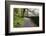 Track Through Woodland Near Grange, Borrowdale, Lake District National Park, Cumbria, England, UK-Mark Sunderland-Framed Photographic Print