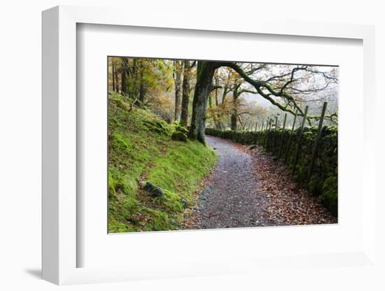 Track Through Woodland Near Grange, Borrowdale, Lake District National Park, Cumbria, England, UK-Mark Sunderland-Framed Photographic Print