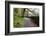 Track Through Woodland Near Grange, Borrowdale, Lake District National Park, Cumbria, England, UK-Mark Sunderland-Framed Photographic Print