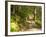 Track to Kondalilla Falls, Kondalilla National Park, Sunshine Coast, Queensland, Australia-David Wall-Framed Photographic Print